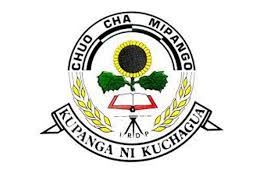 Online Application IRDP 2026/2027 | Chuo Cha Mipango Portal Guide